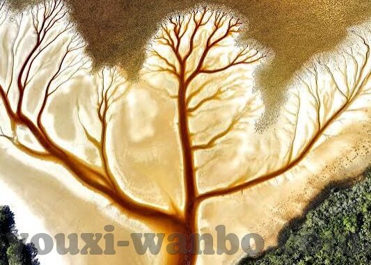 无码专区澳门皇家赌场-无码专区澳门皇家赌场,一场奢华与冒险的交织